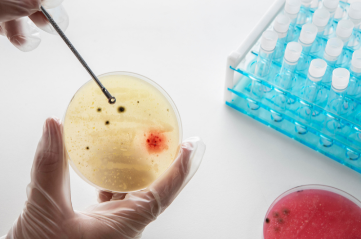 Cytology Testing